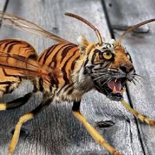 我以一枪入逍遥祝你重登天启乘龙位