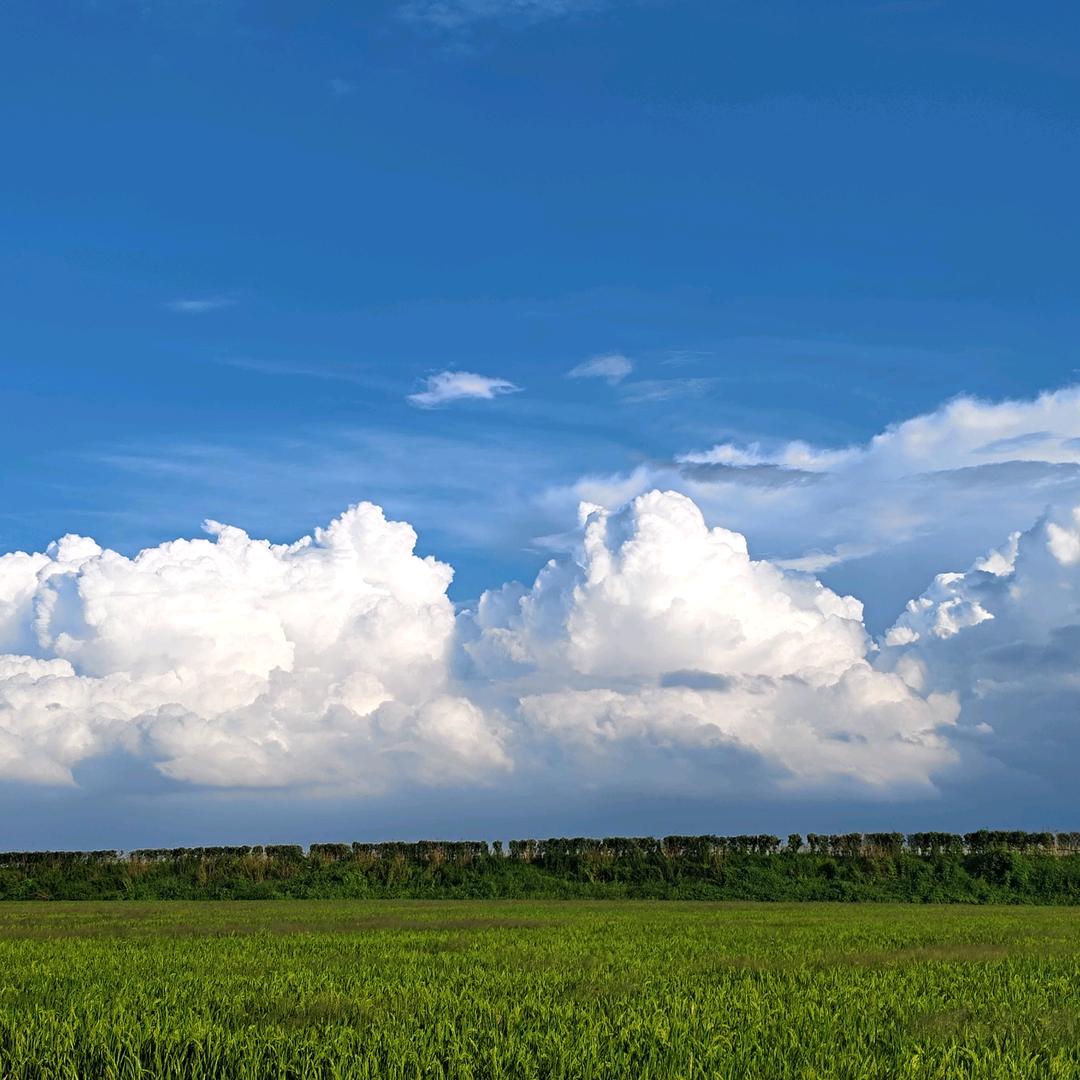 ঞᩚM᭄Wꕥ້໌ᮨ