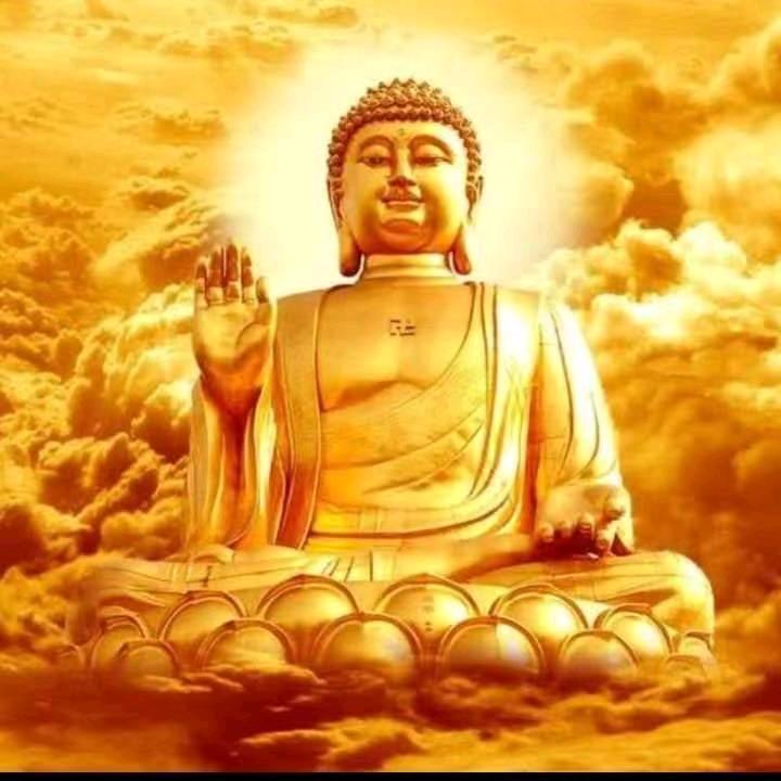 四季园林绿化《北海道专供》