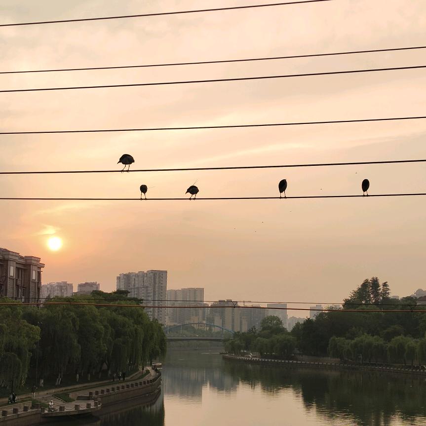 苦瓜大王
