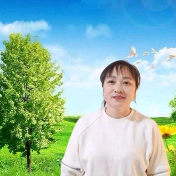 重庆秦姐不定时开