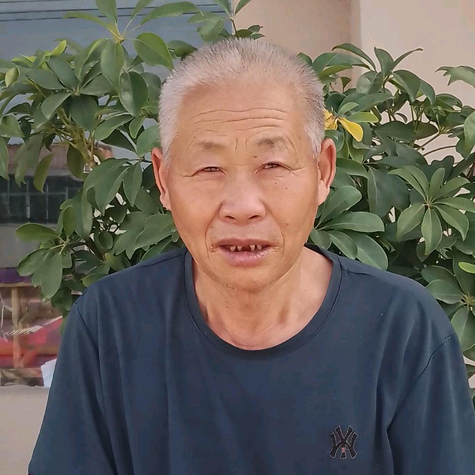 河南哥