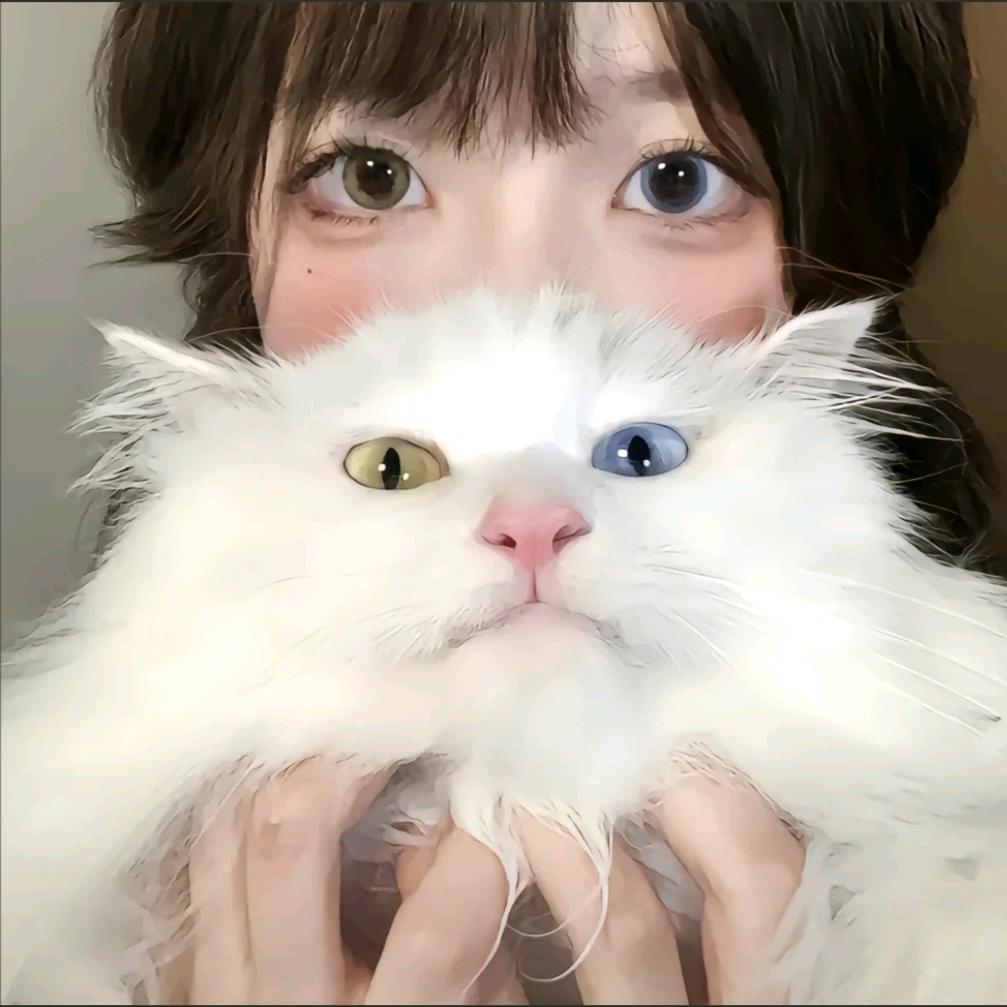 凉皮蘸圆子