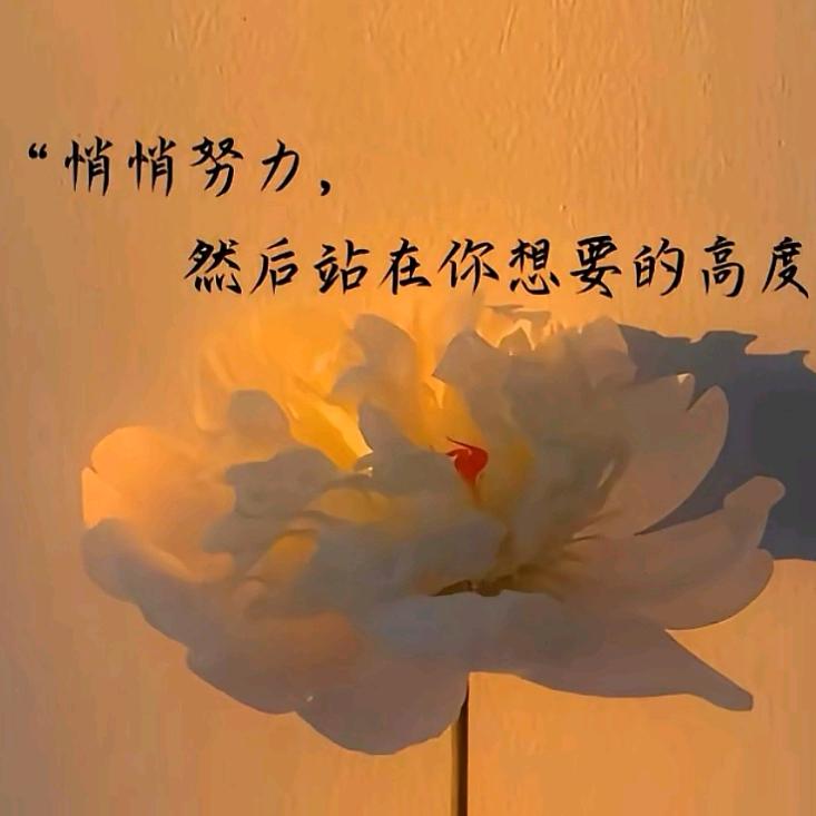 辞忧