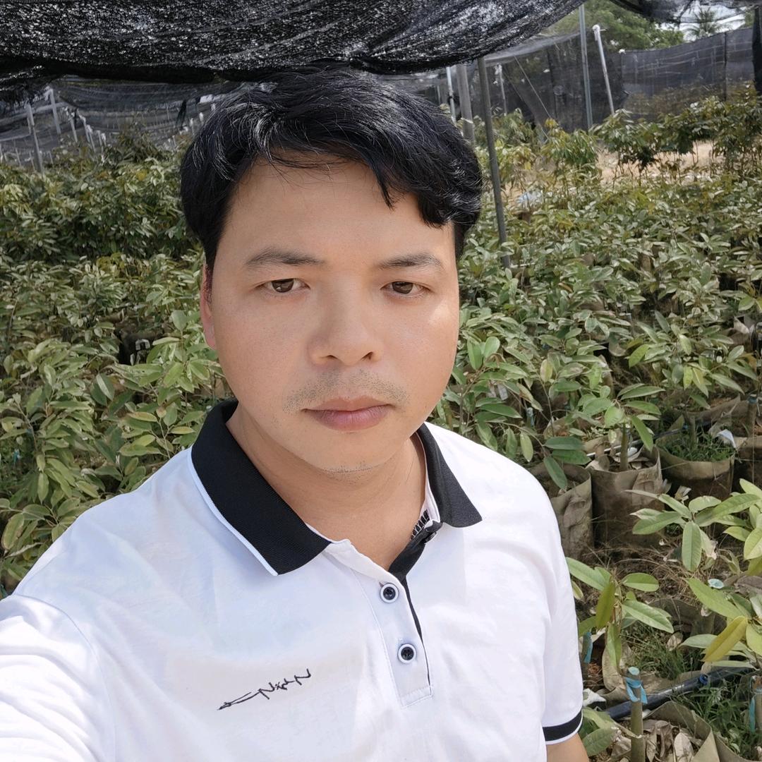 种榴莲的小何（榴莲苗）