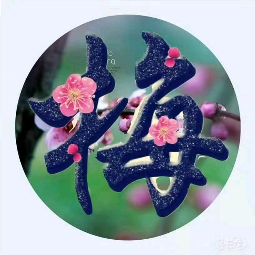 ོৡ木🍒每ོꦿ࿐