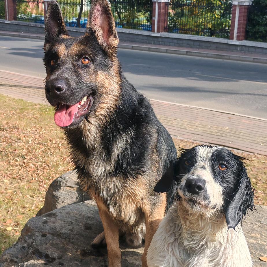 无   欲   则  刚