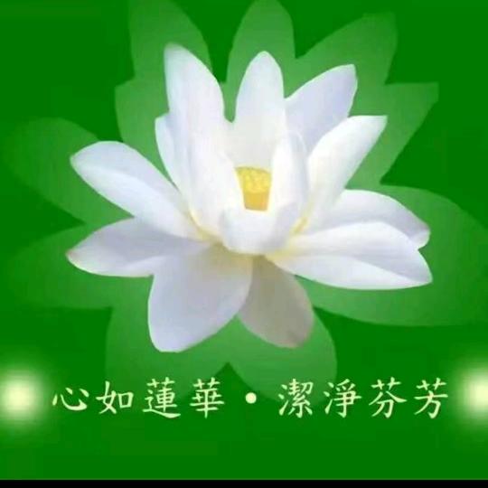 万事顺心