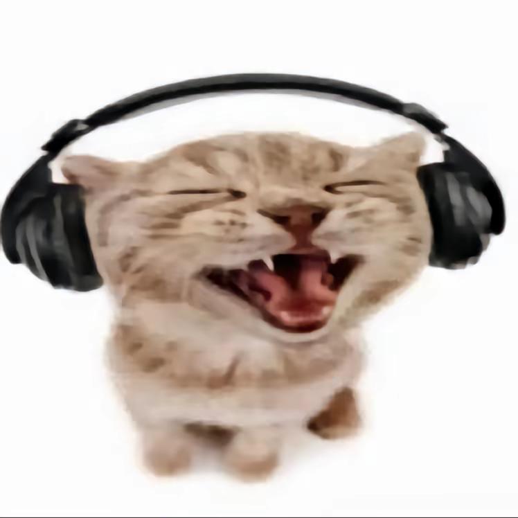 嘿嘿嘿█████████████████