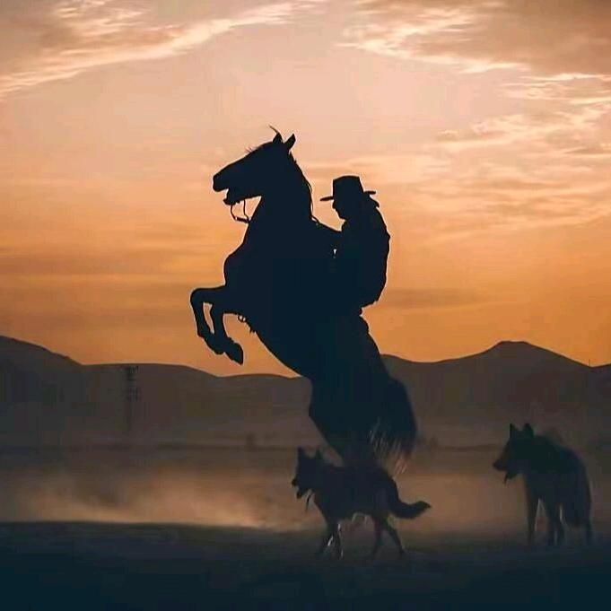 余生很贵，不服就😴