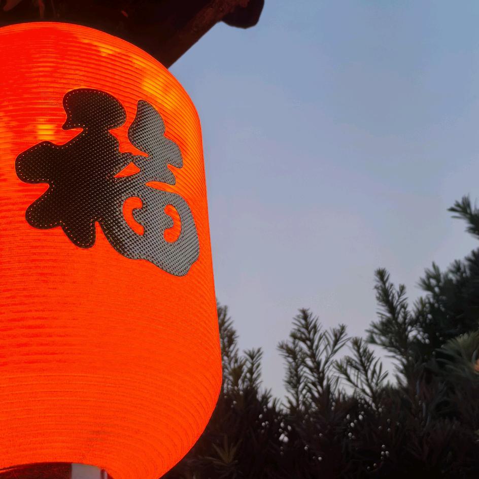 涌娃子比较爱吃苦瓜²⁵⁸⁸