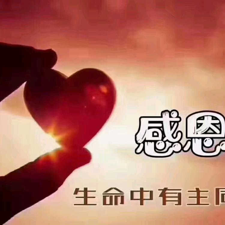 🍃阳光🍻