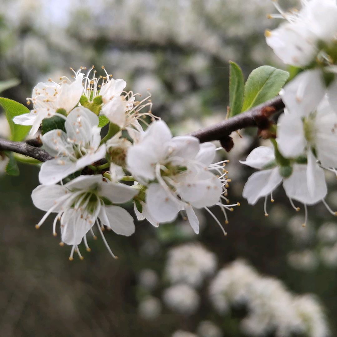 遇见你，是最美的意外⁶⁶⁶₆₆₆