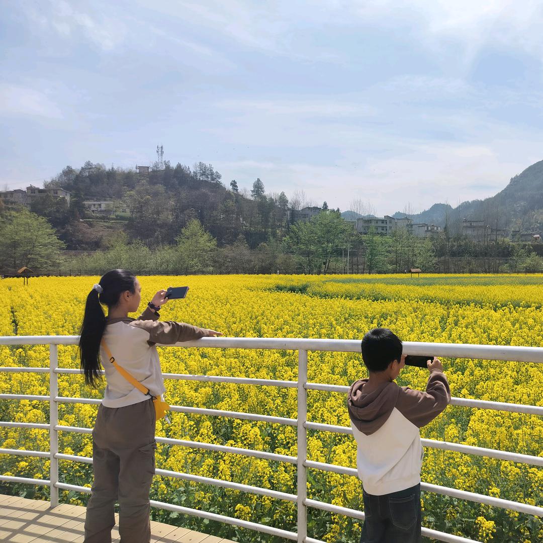 💞꧔ꦿ᭄雨郭田晴💞꧔ꦿ᭄
