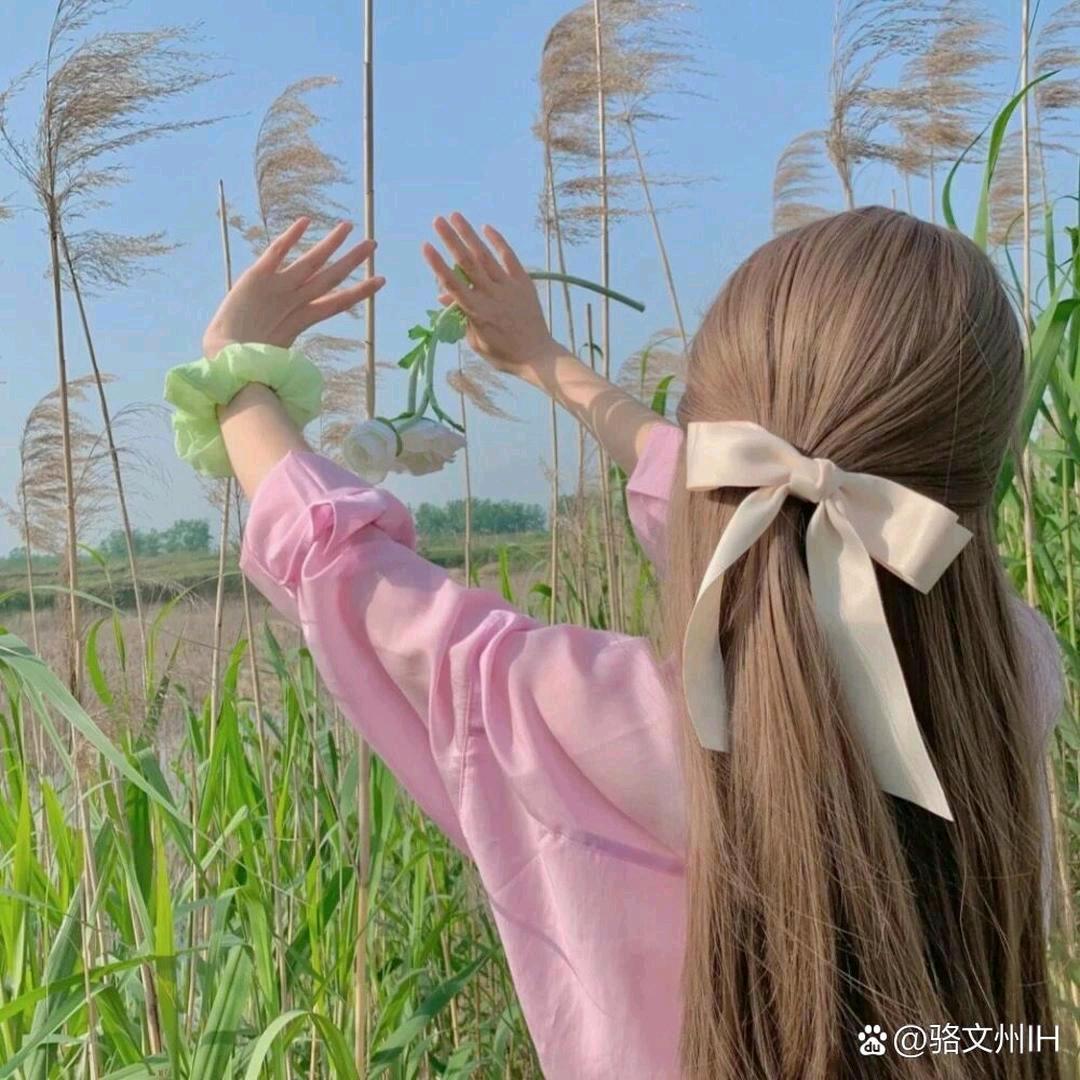 🌹兰兰🌹