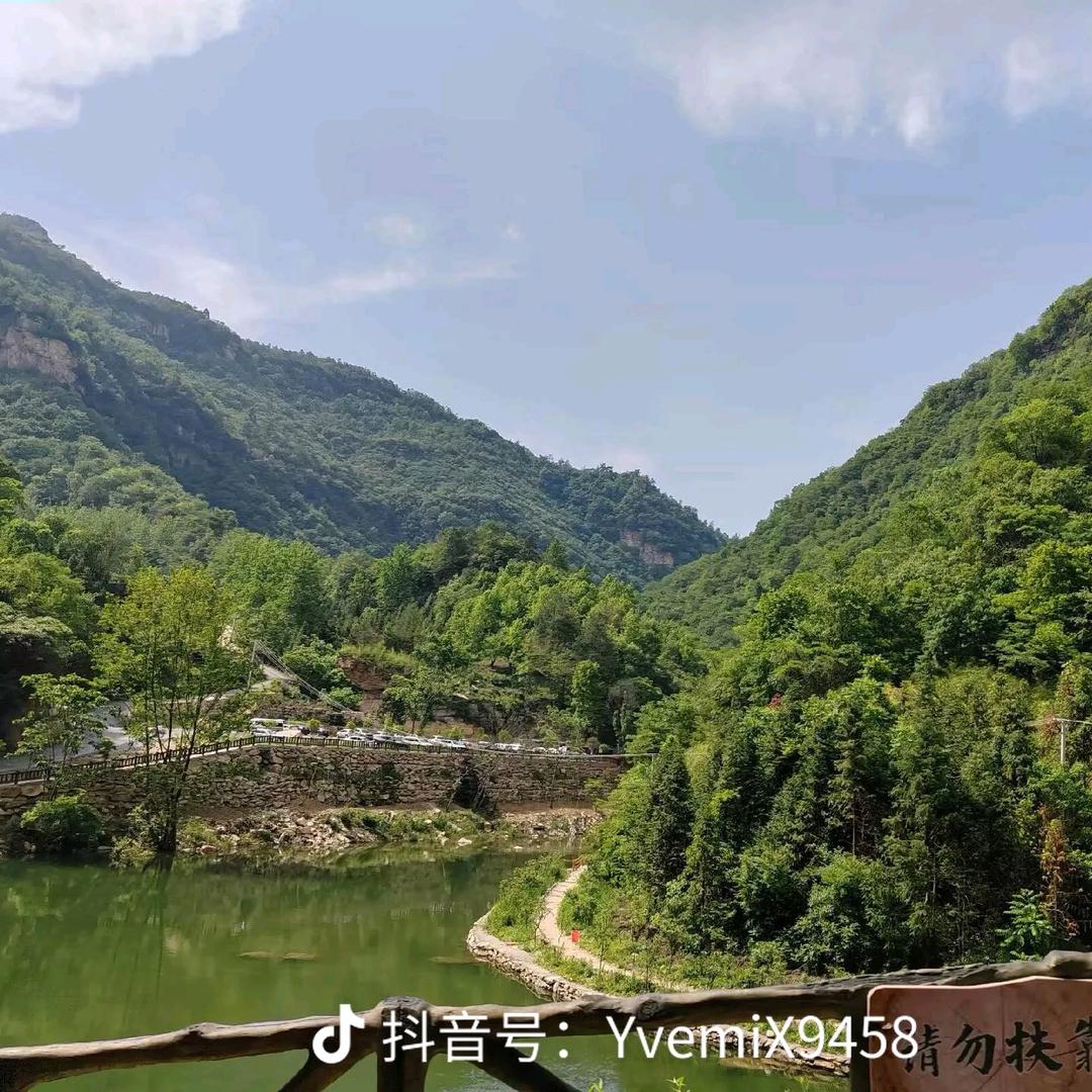 一串红
