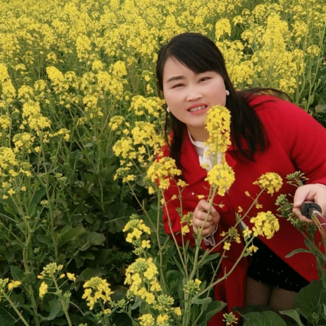 杨碧需要包车打我电话
