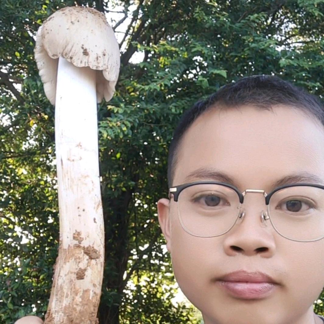 贵州鸡枞小王子