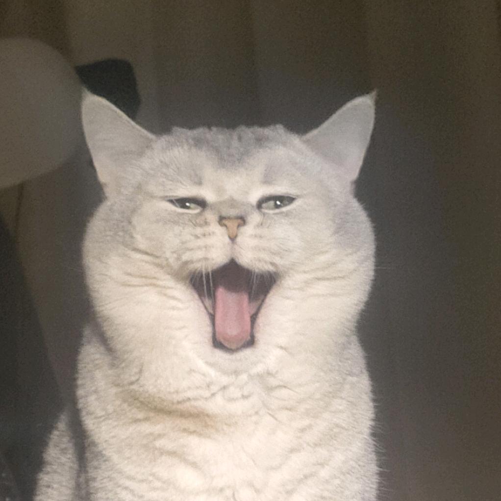 嘻嘻嘻哈哈哈哈哈