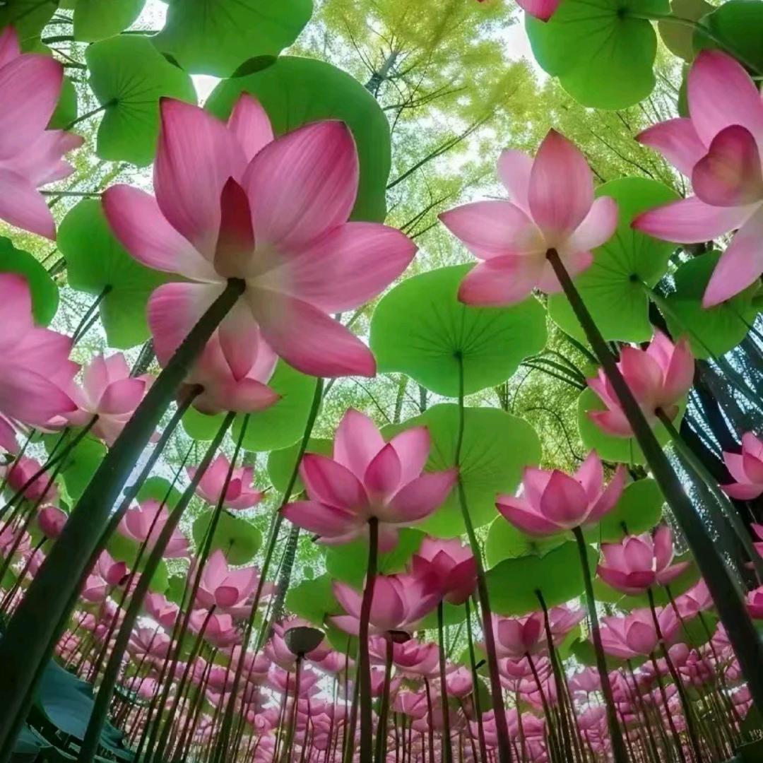 如梦