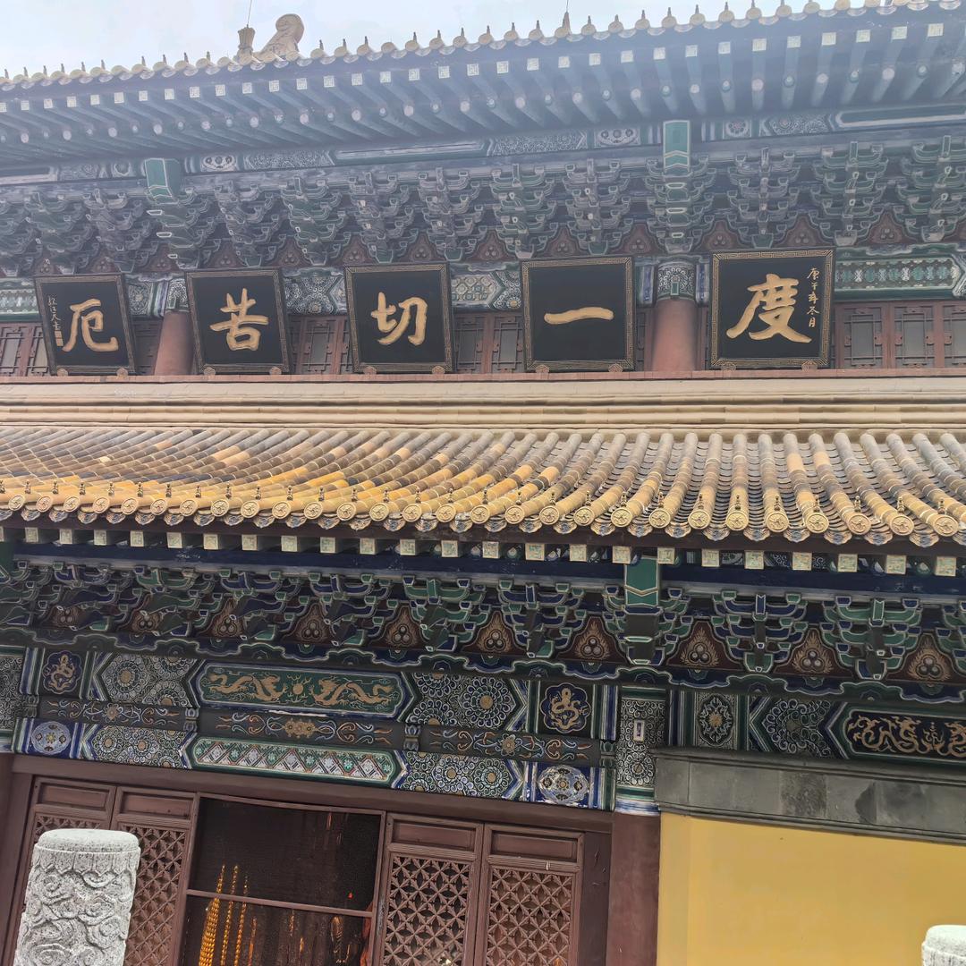 挺哥