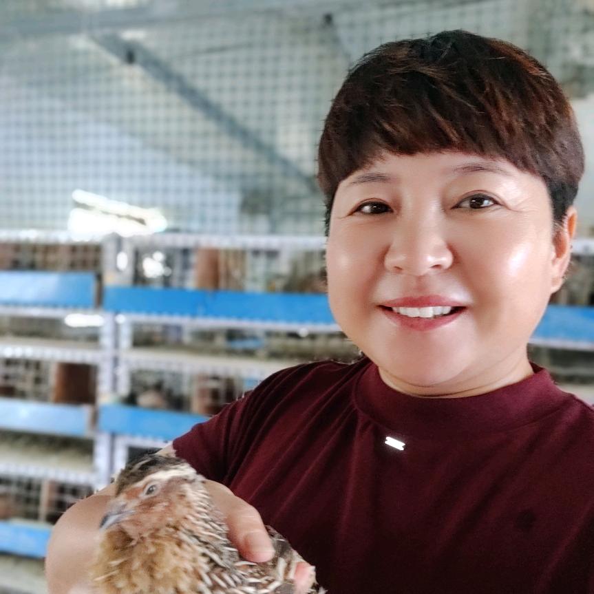 太康范姐鹌鹑小屋