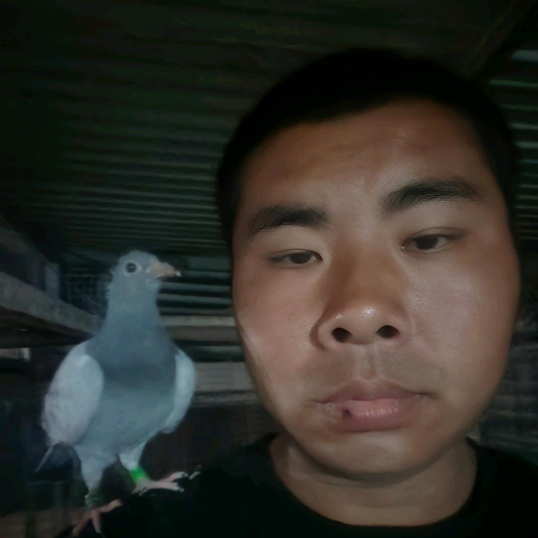 （贾浩专业打花生地，打土豆地，打红薯地)