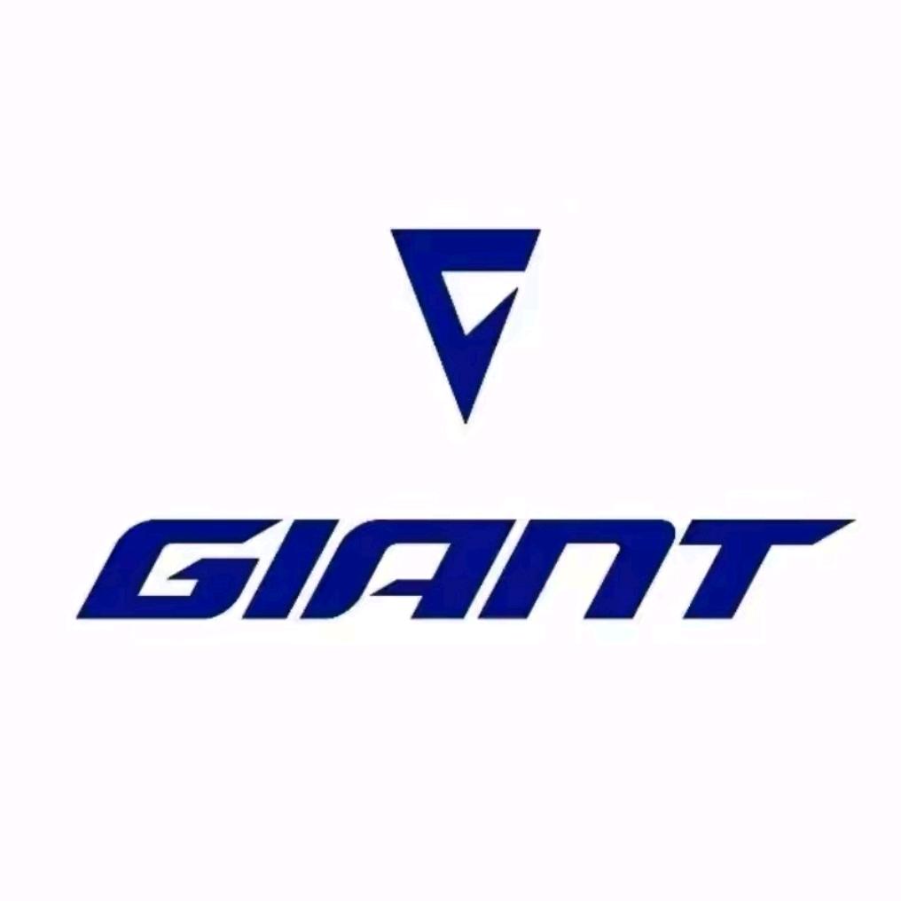 许昌市清虚街捷安特店