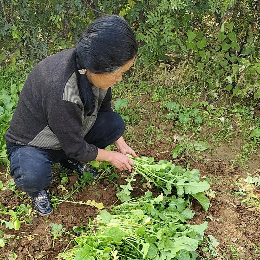 70后婆婆的生活