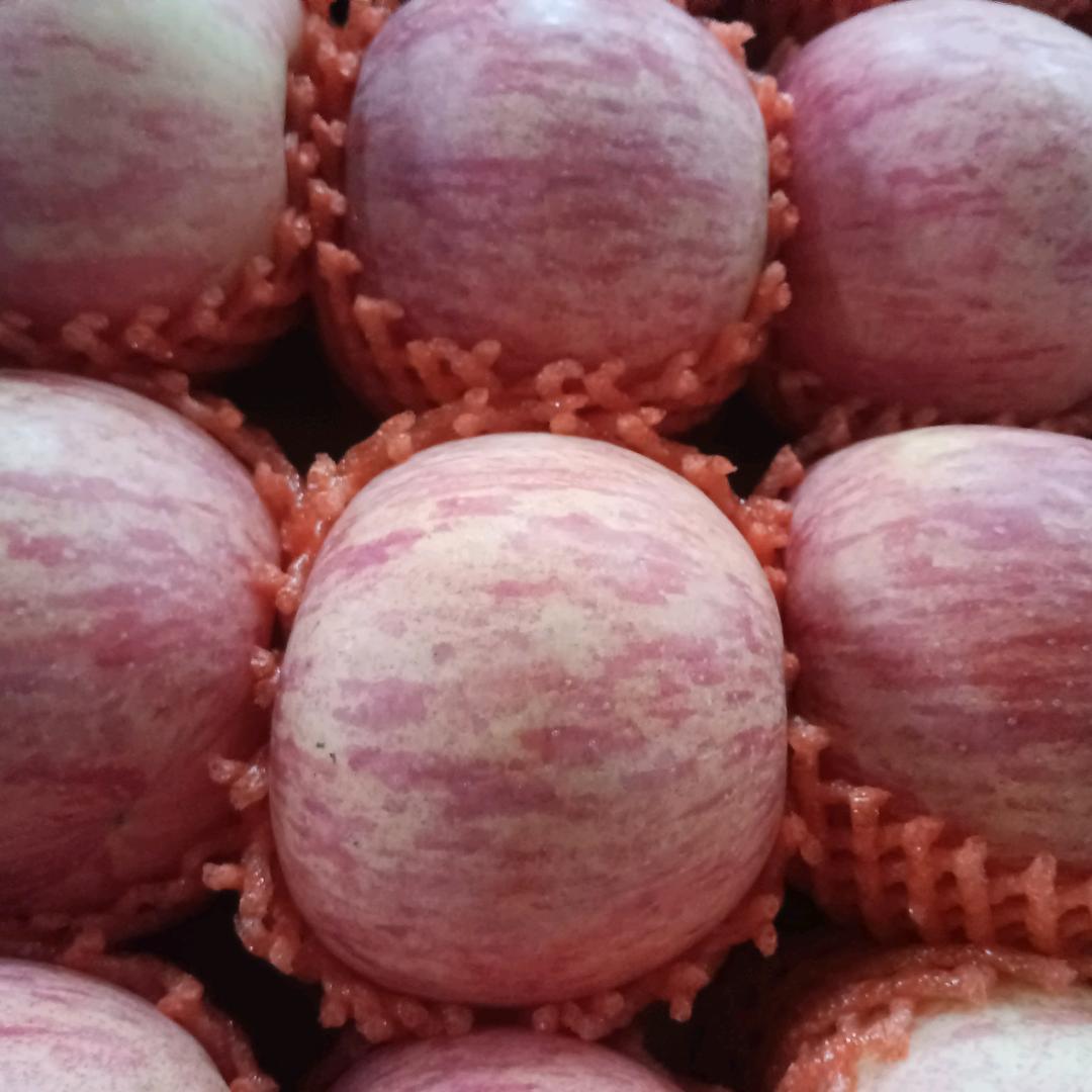 凤翔范家寨苹果🍎桃子🍑