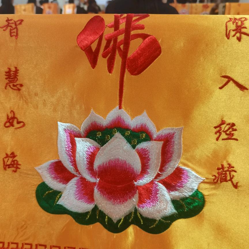 宁静致远dd