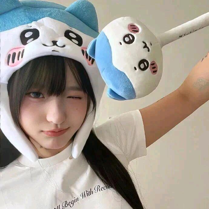 呆呆羊