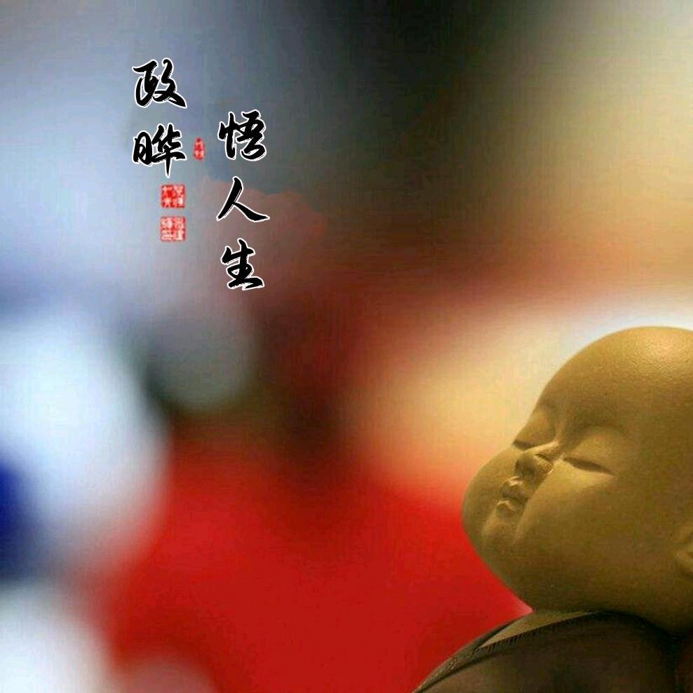 不误政晔ye