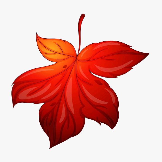 清凉的夏