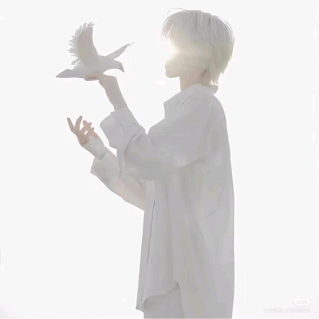 娟姐橱窗