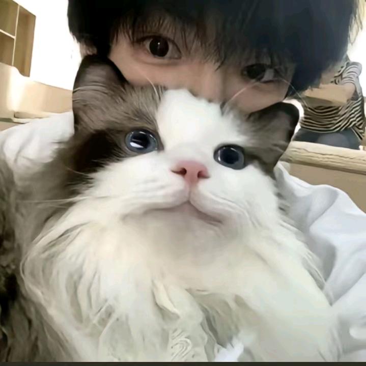 小汤圆