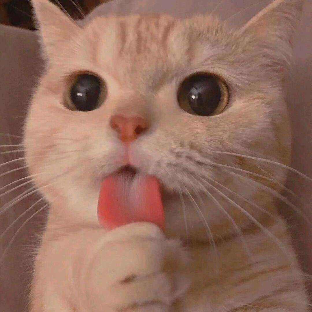 房产小白