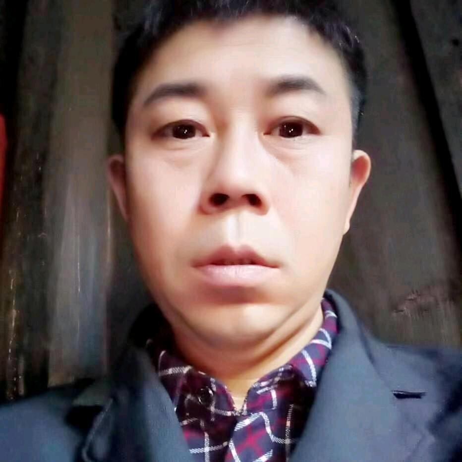 tzj雁过无影