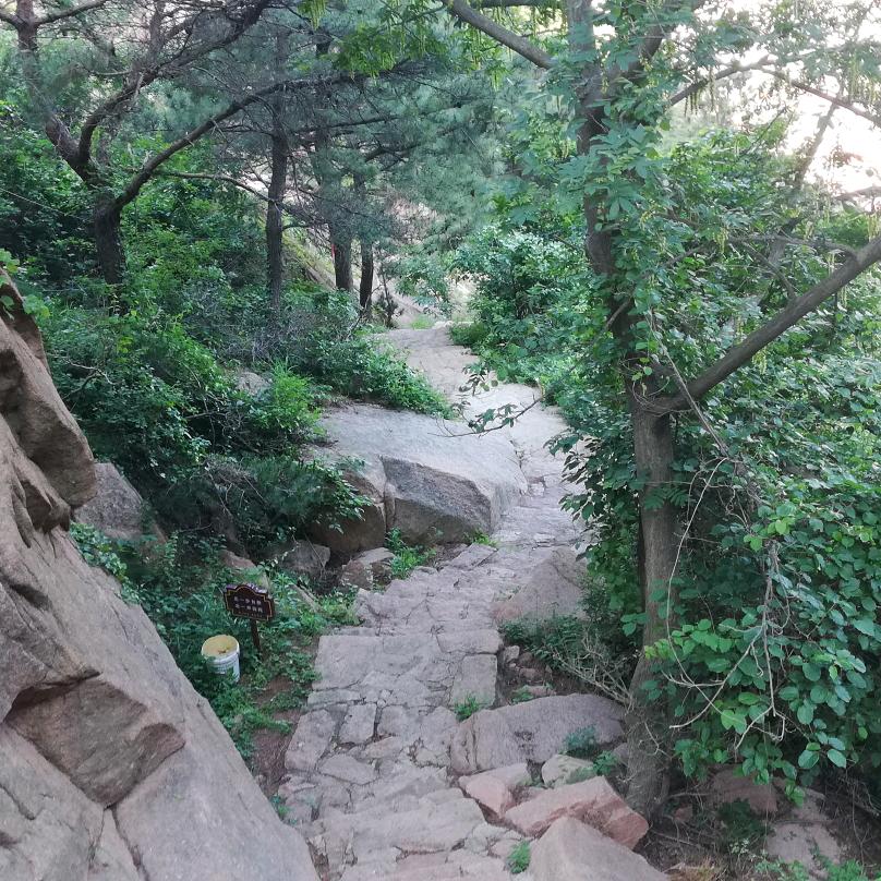小楼一夜听春雨٩(๑^o^๑)۶
