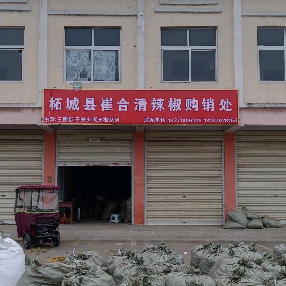 柘城辣椒推荐馆