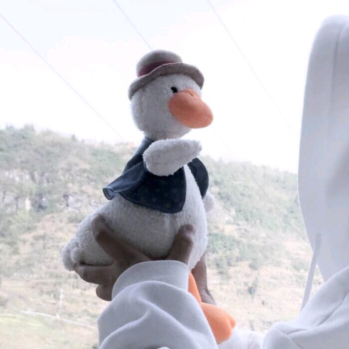 填写我的姓名（三角洲破产版）