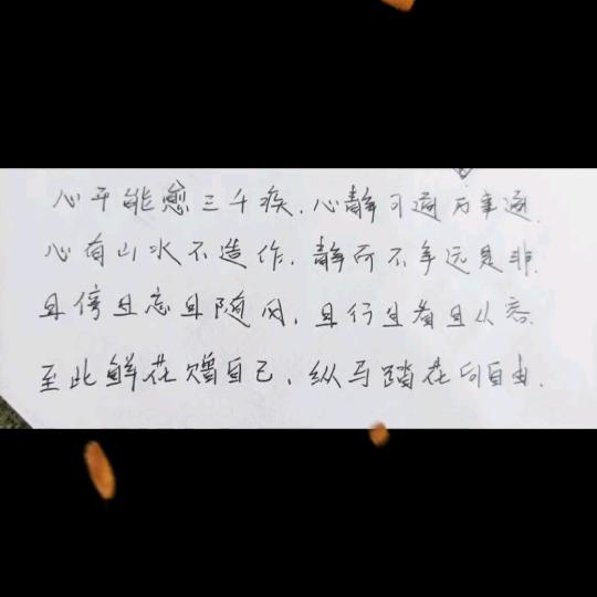 叶子不落