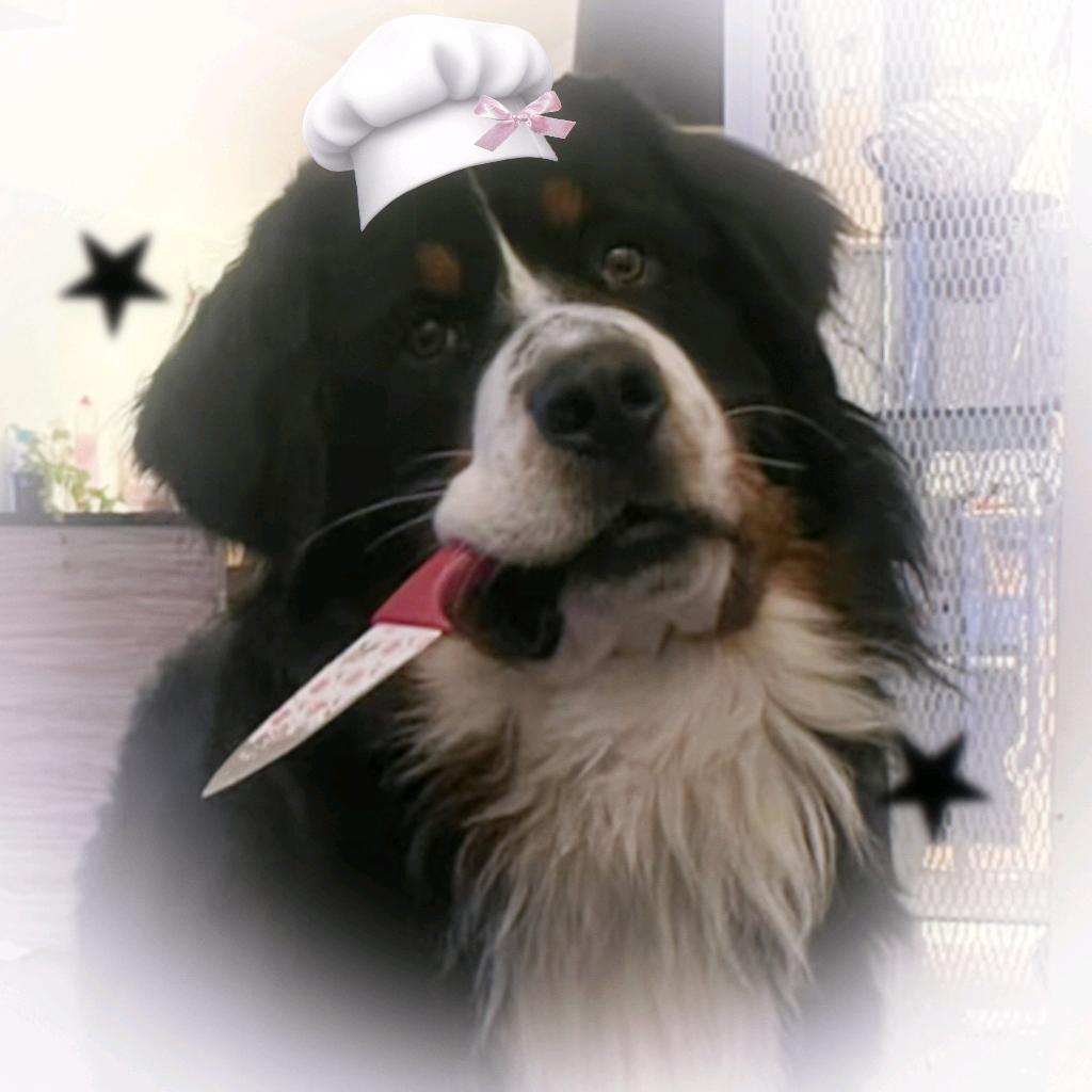 Rainbow_BMD