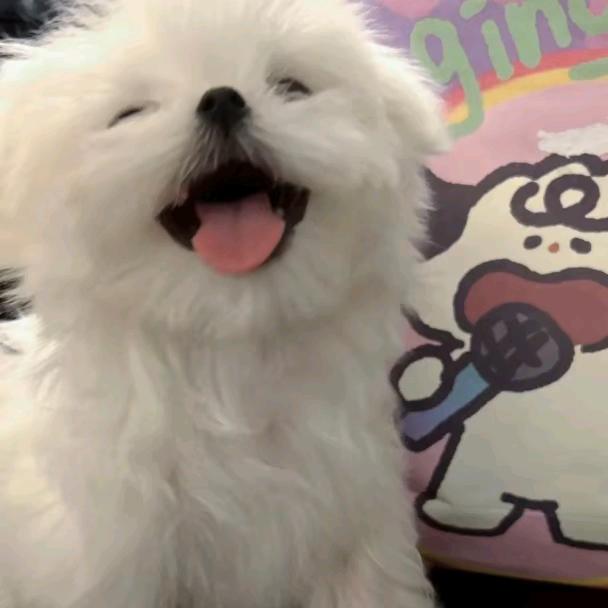 @等一会.