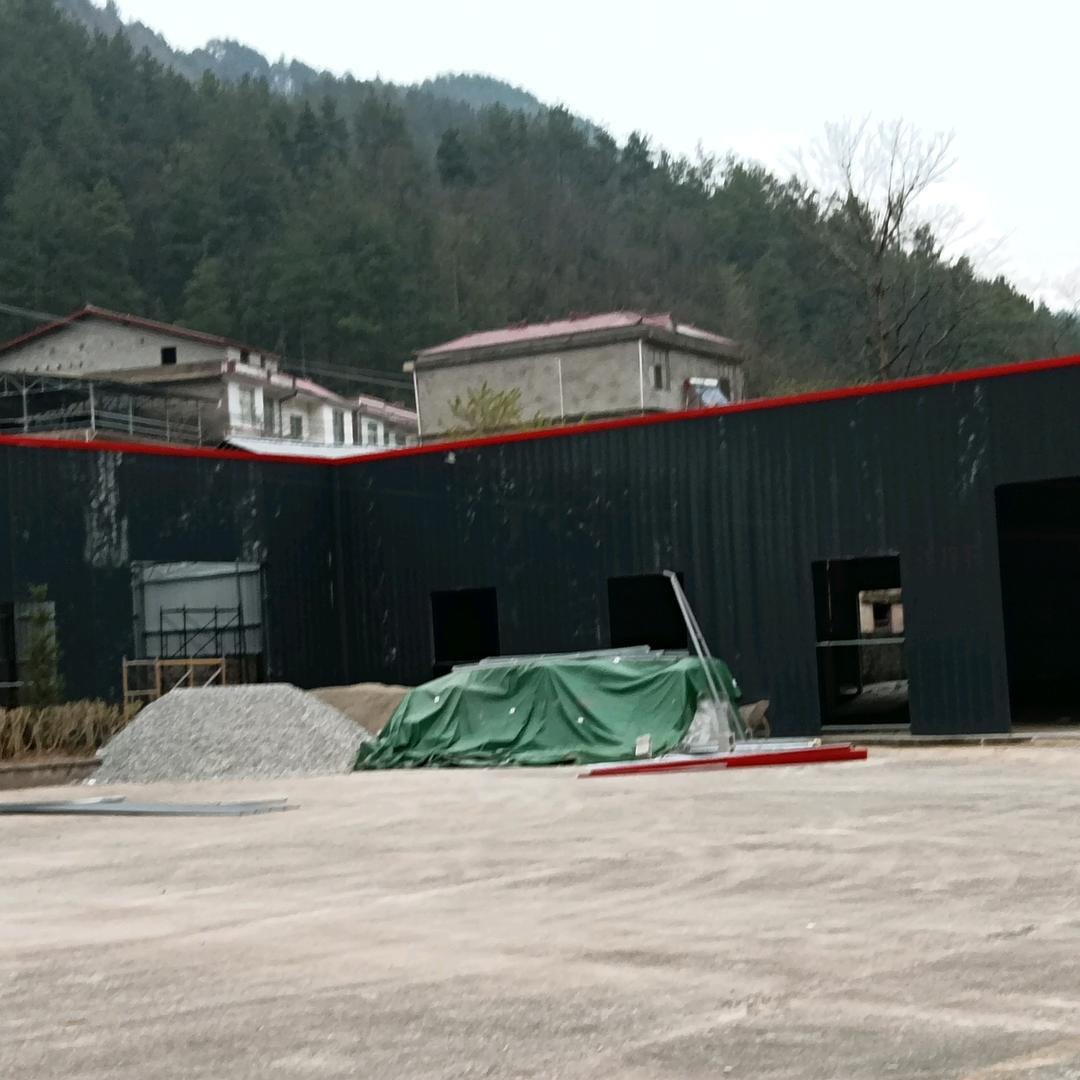 林之风