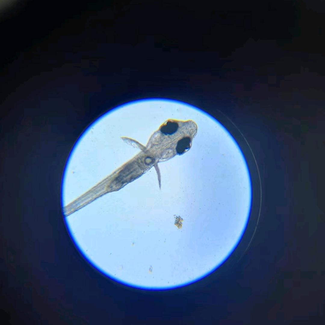 众欧水产养殖