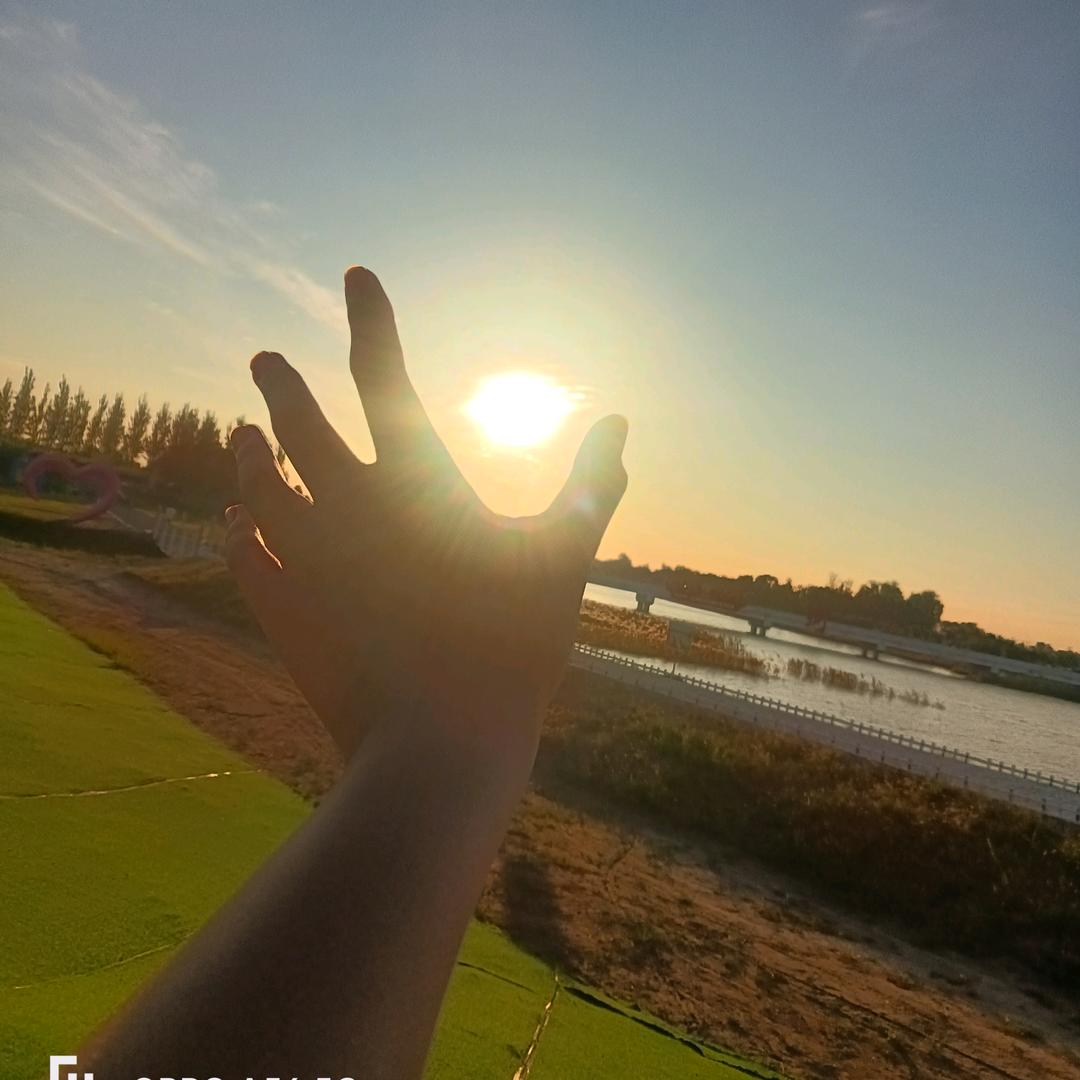 心向太阳