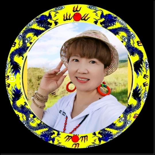 龍行⭐️会飞的鸟🌊