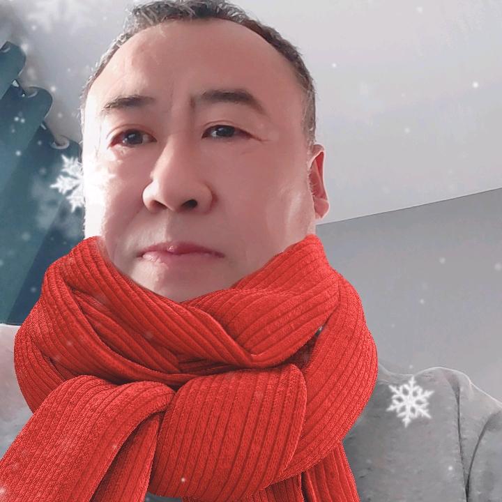 汪者归来