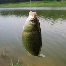 渔具好物